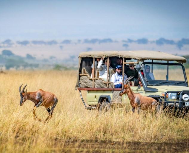 Book Your Next Safari With Us
